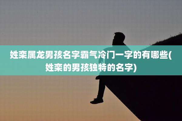 姓栾属龙男孩名字霸气冷门一字的有哪些(姓栾的男孩独特的名字)