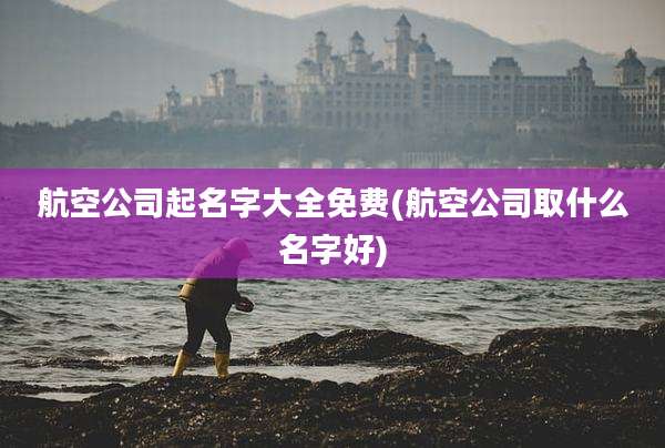 航空公司起名字大全免费(航空公司取什么名字好)