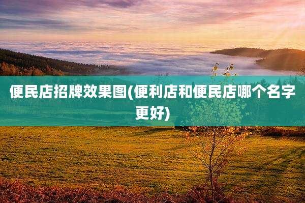 便民店招牌效果图(便利店和便民店哪个名字更好)