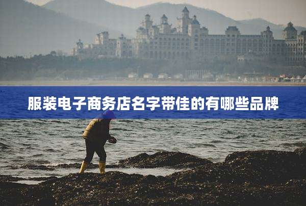 服装电子商务店名字带佳的有哪些品牌
