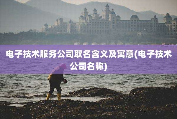 电子技术服务公司取名含义及寓意(电子技术公司名称)