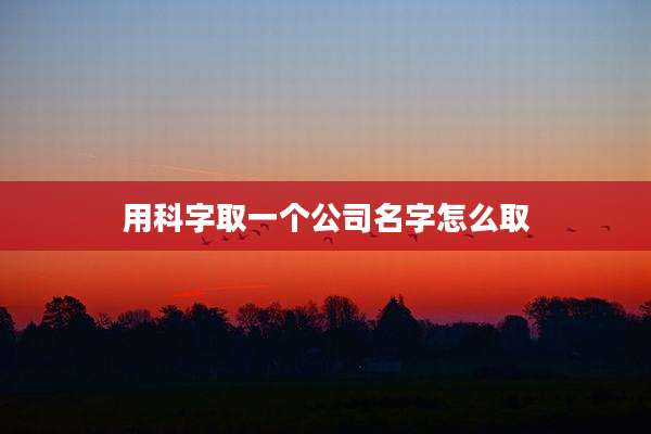 用科字取一个公司名字怎么取