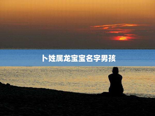 卜姓属龙宝宝名字男孩