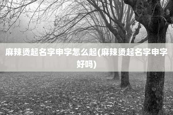 麻辣烫起名字申字怎么起(麻辣烫起名字申字好吗)