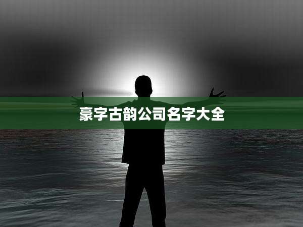 豪字古韵公司名字大全