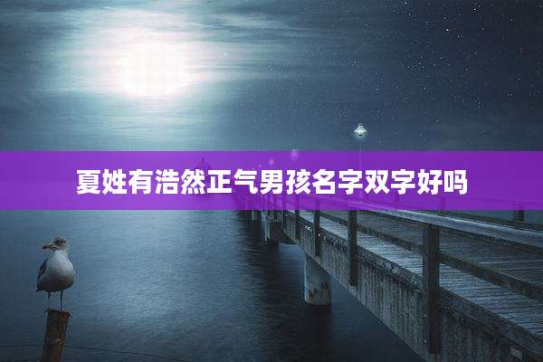 夏姓有浩然正气男孩名字双字好吗
