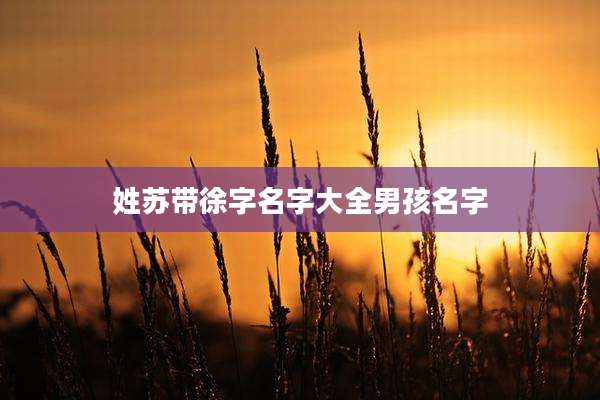 姓苏带徐字名字大全男孩名字