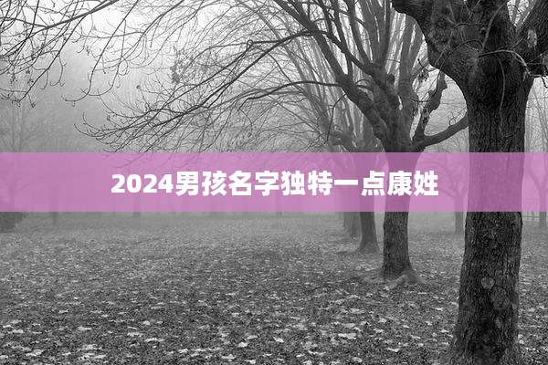 2024男孩名字独特一点康姓