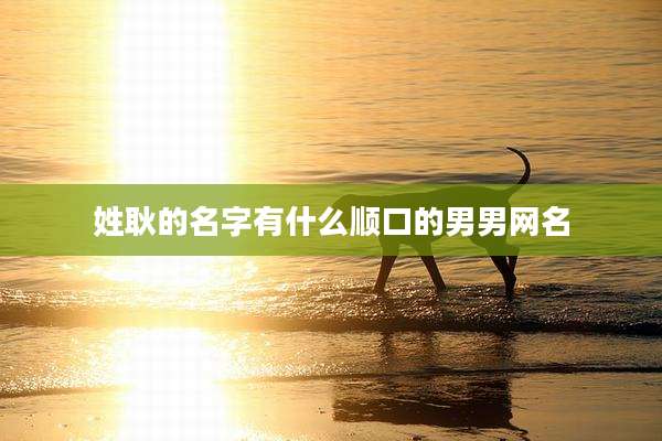 姓耿的名字有什么顺口的男男网名