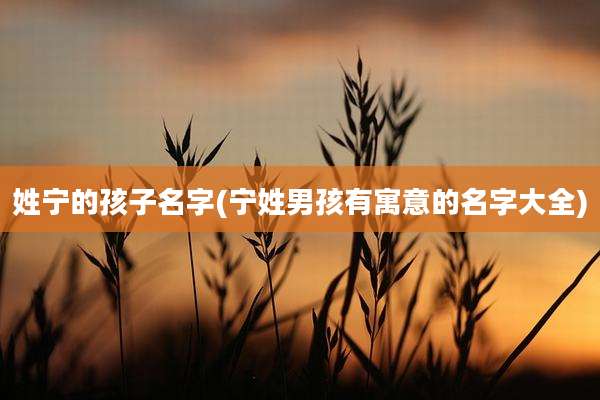 姓宁的孩子名字(宁姓男孩有寓意的名字大全)