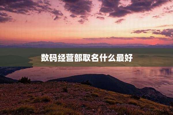 数码经营部取名什么最好