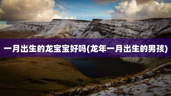一月出生的龙宝宝好吗(龙年一月出生的男孩)
