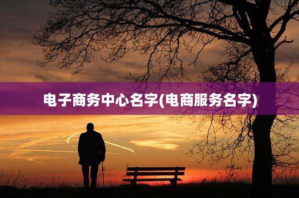 电子商务中心名字(电商服务名字)