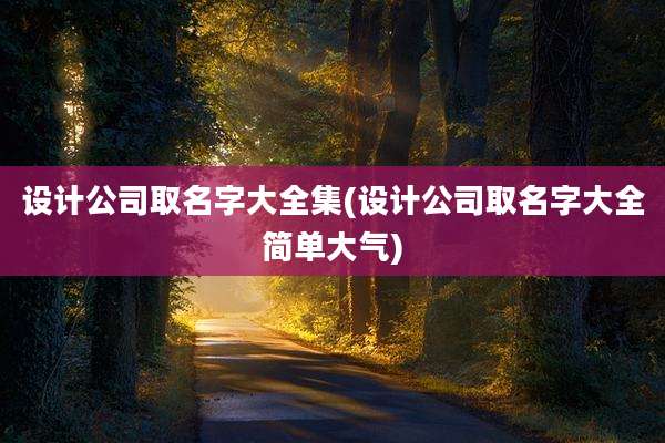 设计公司取名字大全集(设计公司取名字大全简单大气)