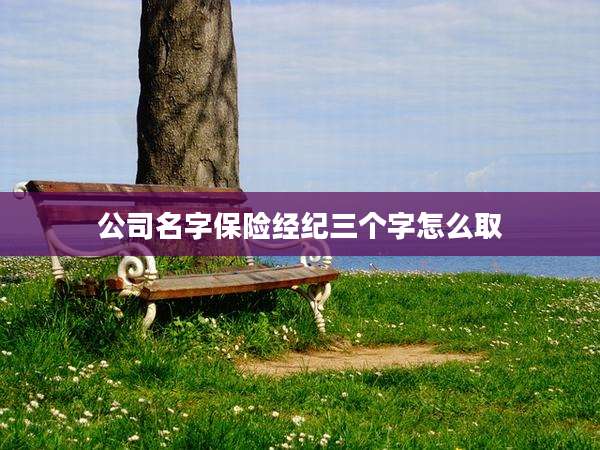 公司名字保险经纪三个字怎么取