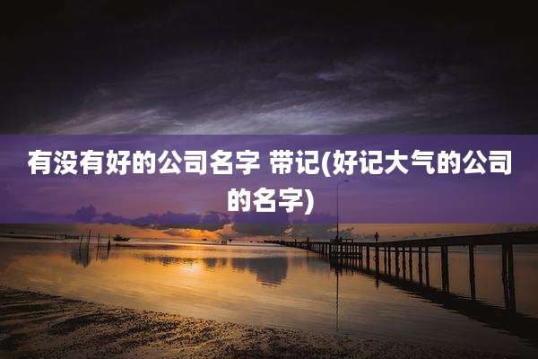 有没有好的公司名字 带记(好记大气的公司的名字)