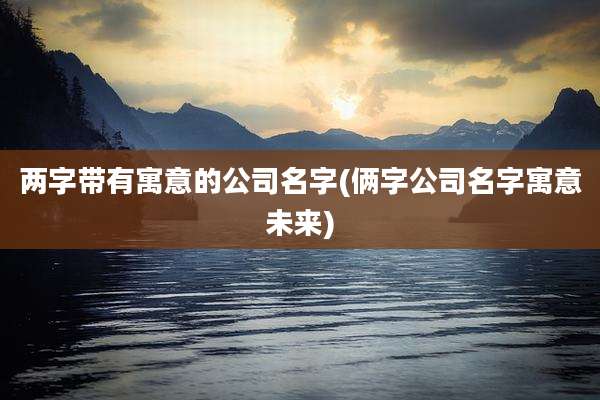 两字带有寓意的公司名字(俩字公司名字寓意未来)
