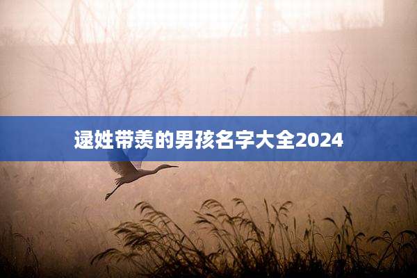 逯姓带羡的男孩名字大全2024