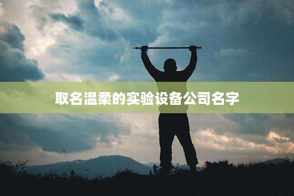 取名温柔的实验设备公司名字