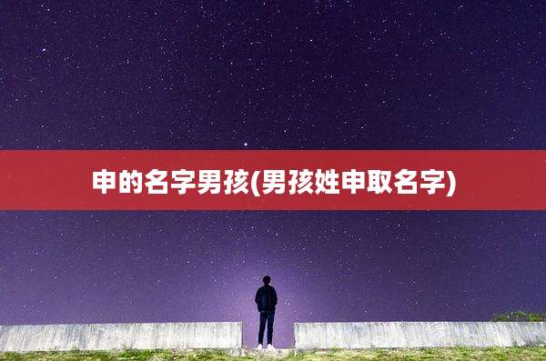 申的名字男孩(男孩姓申取名字)