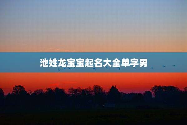 池姓龙宝宝起名大全单字男