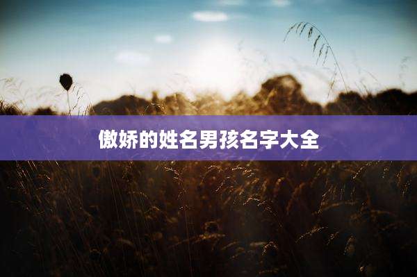 傲娇的姓名男孩名字大全
