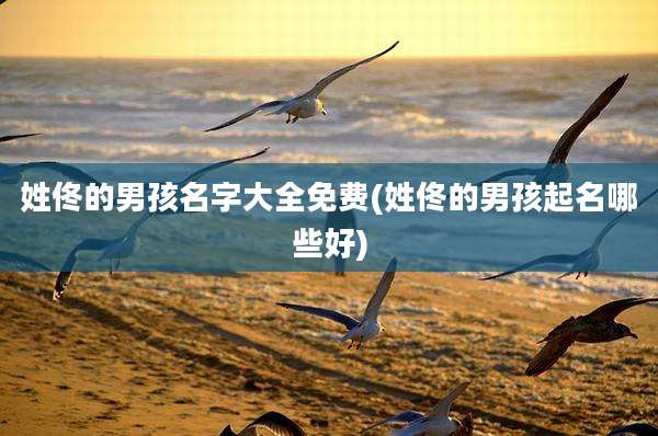 姓佟的男孩名字大全免费(姓佟的男孩起名哪些好)