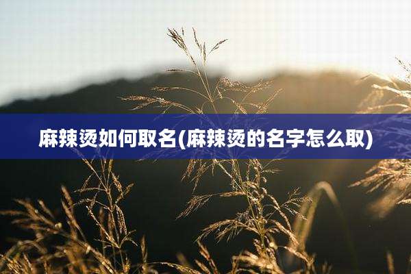 麻辣烫如何取名(麻辣烫的名字怎么取)
