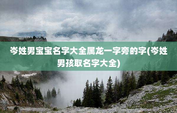 岑姓男宝宝名字大全属龙一字旁的字(岑姓男孩取名字大全)