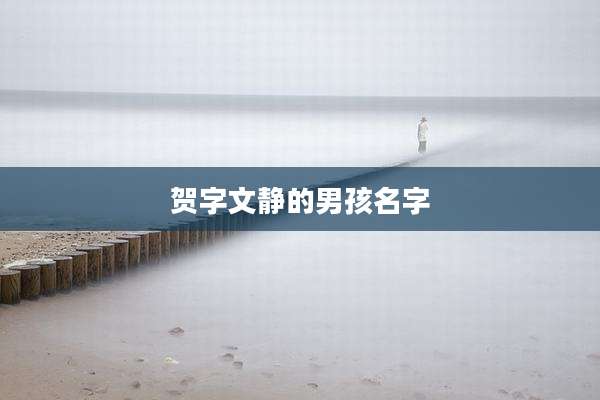贺字文静的男孩名字