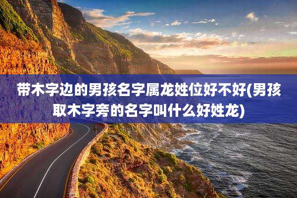 带木字边的男孩名字属龙姓位好不好(男孩取木字旁的名字叫什么好姓龙)