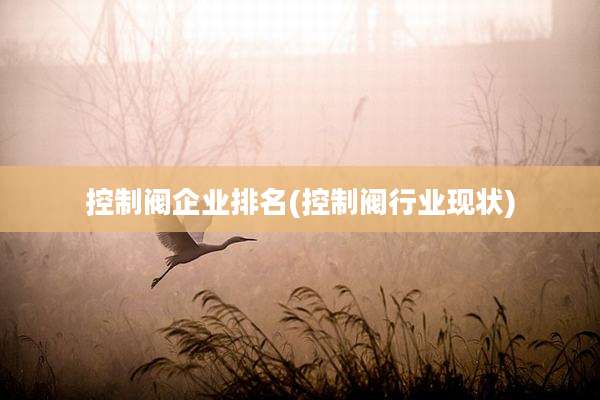 控制阀企业排名(控制阀行业现状)