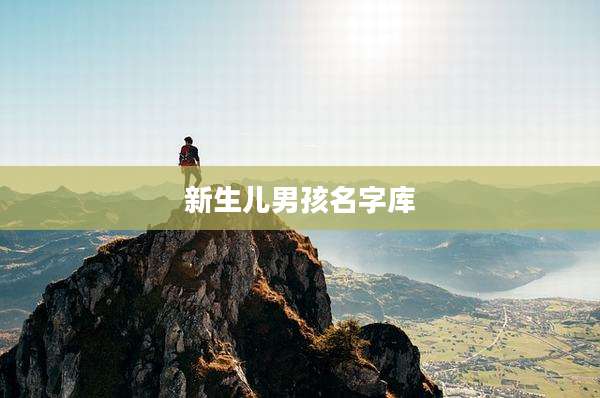 新生儿男孩名字库