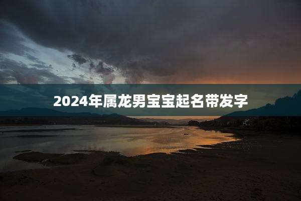 2024年属龙男宝宝起名带发字