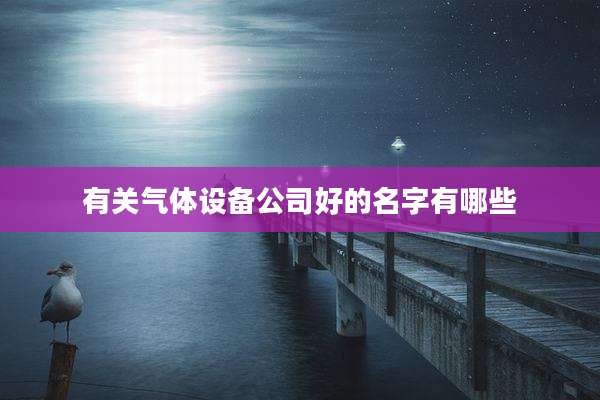 有关气体设备公司好的名字有哪些