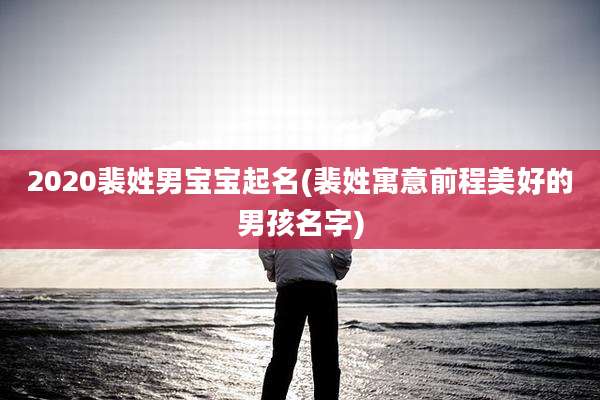 2020裴姓男宝宝起名(裴姓寓意前程美好的男孩名字)