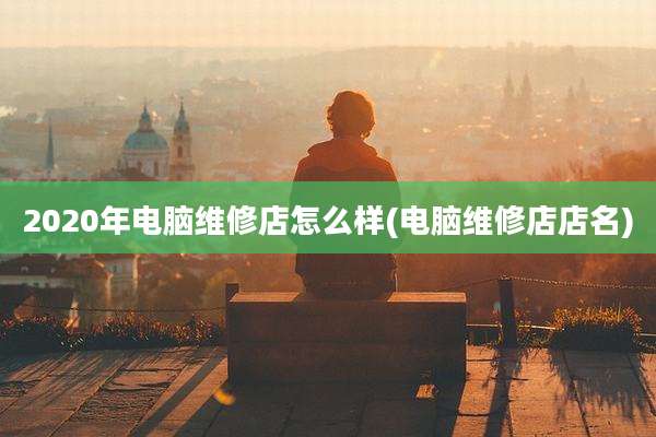 2020年电脑维修店怎么样(电脑维修店店名)