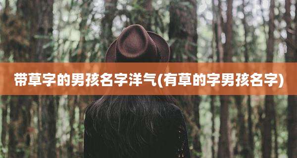 带草字的男孩名字洋气(有草的字男孩名字)