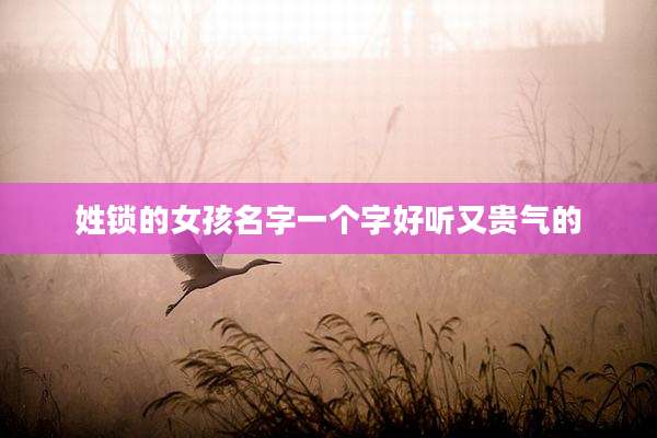 姓锁的女孩名字一个字好听又贵气的