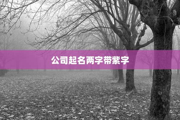 公司起名两字带紫字