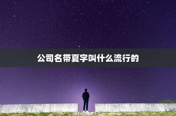 公司名带夏字叫什么流行的