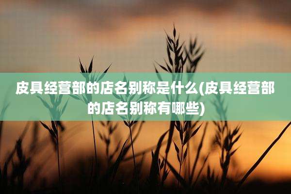 皮具经营部的店名别称是什么(皮具经营部的店名别称有哪些)