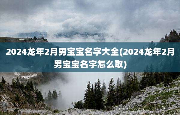 2024龙年2月男宝宝名字大全(2024龙年2月男宝宝名字怎么取)