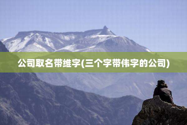 公司取名带维字(三个字带伟字的公司)