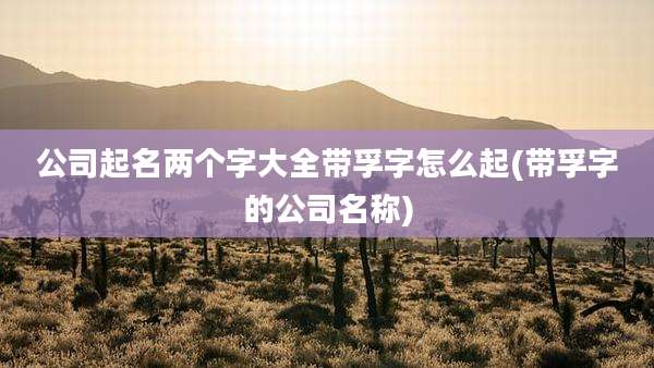 公司起名两个字大全带孚字怎么起(带孚字的公司名称)