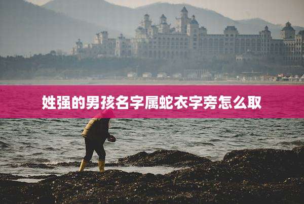 姓强的男孩名字属蛇衣字旁怎么取