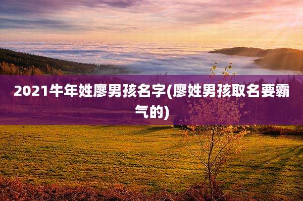 2021牛年姓廖男孩名字(廖姓男孩取名要霸气的)