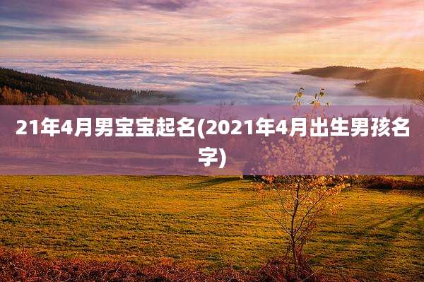 21年4月男宝宝起名(2021年4月出生男孩名字)