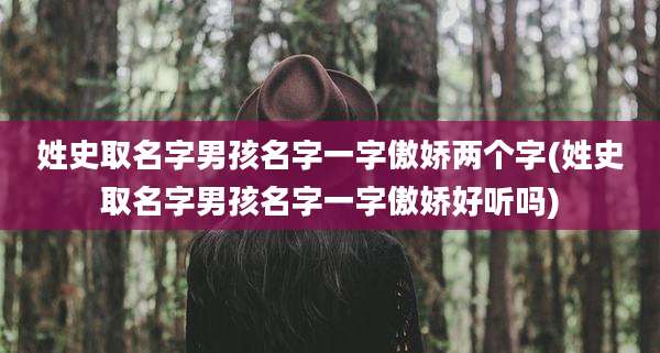 姓史取名字男孩名字一字傲娇两个字(姓史取名字男孩名字一字傲娇好听吗)