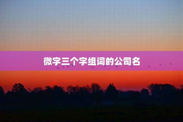 微字三个字组词的公司名